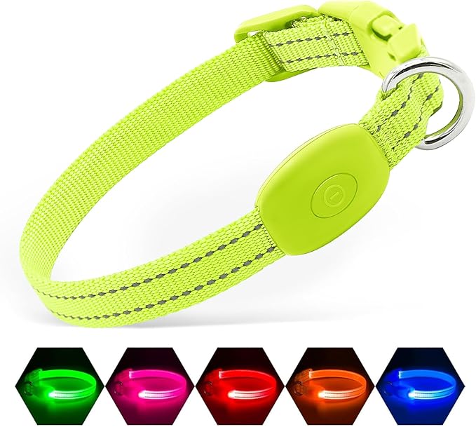 illumifun LED Dog Collar for Puppy, USB Rechargeable Light Up Collar, Lightweight Nylon Glowing Dog