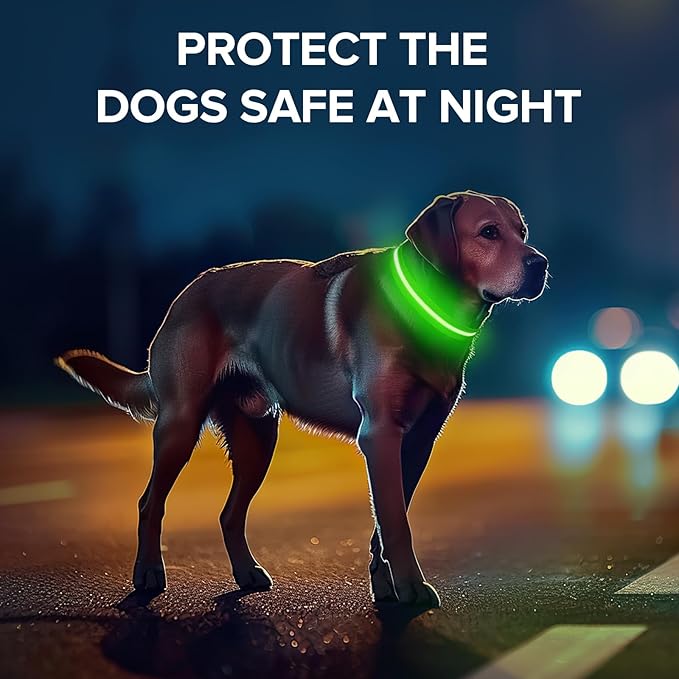 Light Up Dog Collar, Adjustable USB Rechargeable Glow in Dark Dog Collar ，Waterproof Dog Collars