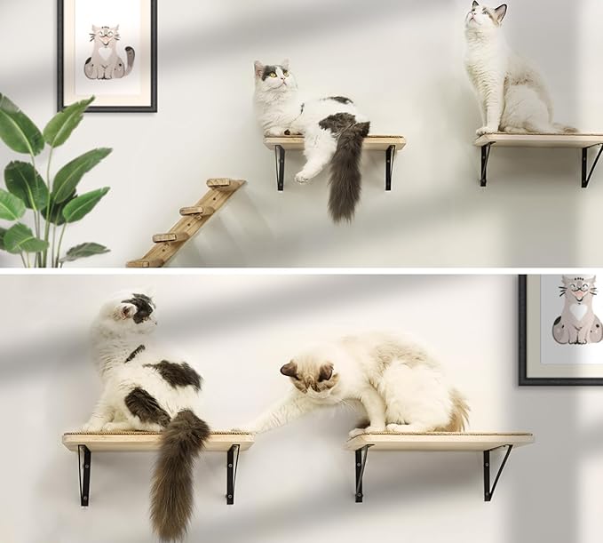 Cat Floating Wall Shelf with Scratching Mat, 1PC 9.7X16.6 Inch Large 1 Inch Thick Wood Cat Window