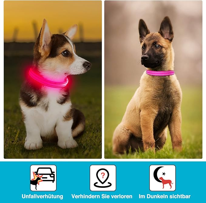 LED Dog Collar - Light Up, Adjustable, Rechargeable, Waterproof - Night Walking, Glow in Dark