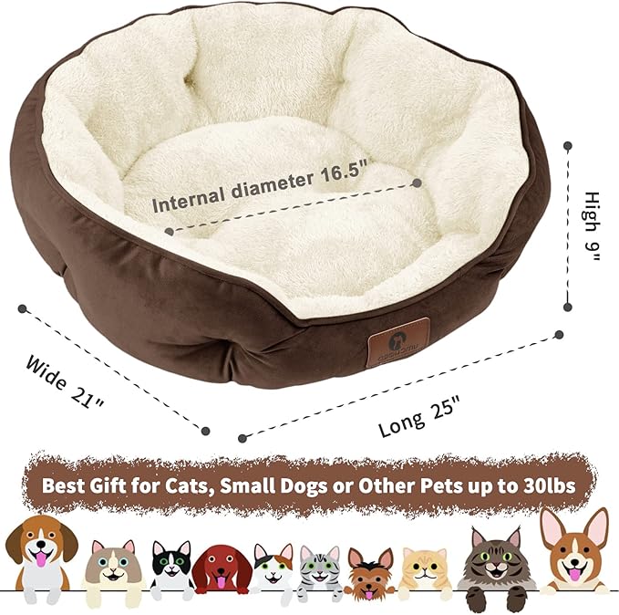 Asvin Medium Dog Bed for Medium Dogs, Cat Beds for Indoor Cats, Pet Bed for Puppy and Kitty, Extra
