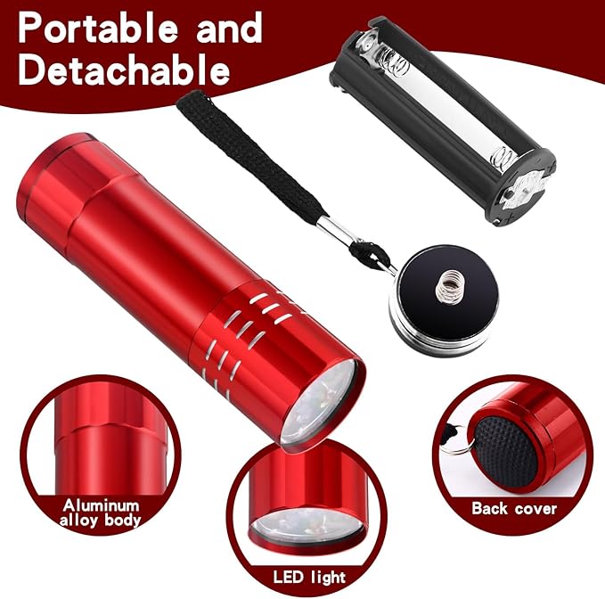Riakrum 12 Pieces UV Blacklight Flashlights LED Handheld Mini Light Flashlight Small Portable