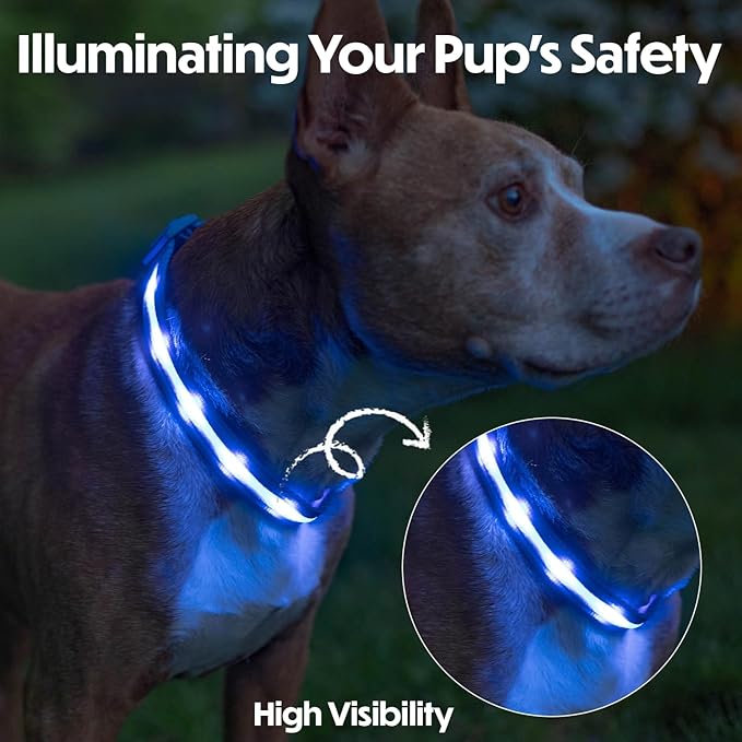Light Up Dog Collar ??Reflective, Adjustable & Rechargeable Electronic Glow Pet Collars ??Bright