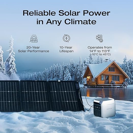 EF ECOFLOW Solar Generator DELTA 3 Plus with 220W Bifacial Solar Panel, 1000W Solar Input