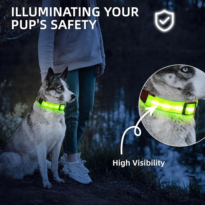 Super Bright LED Dog Collar - Fully Waterproof & Adjustable Glow Collar - USB-C Rechargeable for