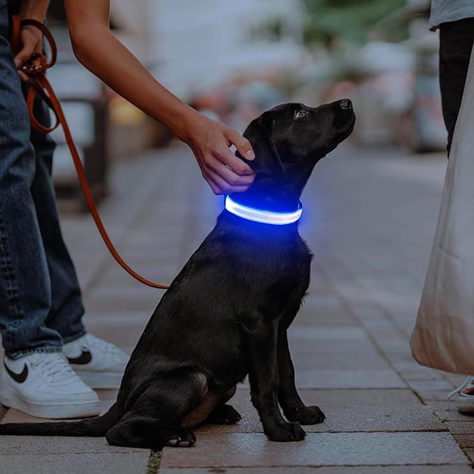 Illumifun LED Dog Collar, USB Rechargeable Light Up Collar Glow in The Dark, Adjustable Safety Pet
