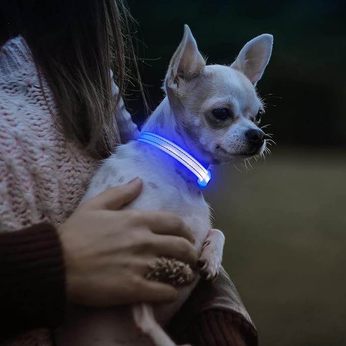 Visinite Light Up Dog Collars for Small Dogs,LED Dog Collar Light Rechargeable,Fully Adjustable