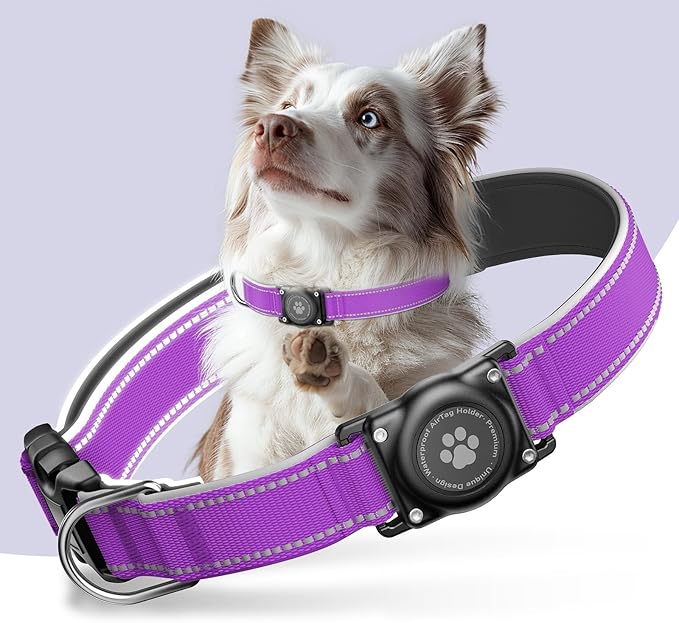 Airtag Dog Collar - 100% Waterproof AirTag Holder, Reflective, Soft Padded, Everlasting GPS Collar