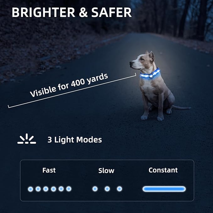 Super Bright LED Dog Collar - Fully Waterproof & Adjustable Glow Collar - USB-C Rechargeable for