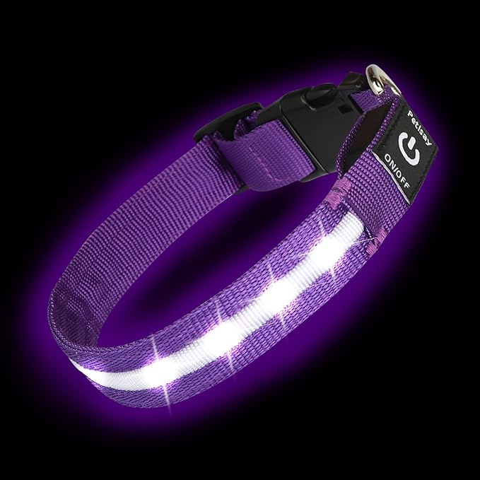 Super Bright LED Dog Collar - Fully Waterproof & Adjustable Glow Collar - USB-C Rechargeable for