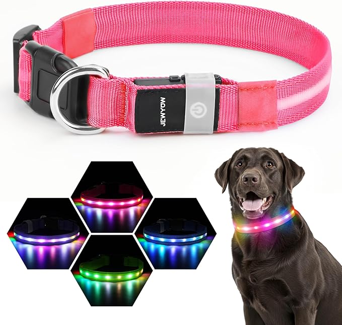 LED Dog Collar, Light Up Dog Collar, USB Rechargeable - Brightest Dog Lights for Night Walking, 6
