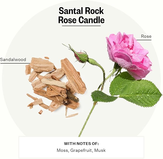 Apotheke 3-Wick Scented Candles for Home, Santal Rock Rose - 26 oz Soy Wax Jar Candle Gift for
