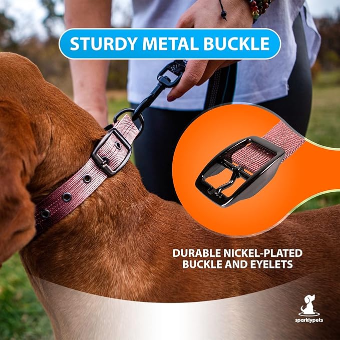 SparklyPets Heavy Duty Dog Collar with Handle for Medium and Large Dogs ??Professional Collar with