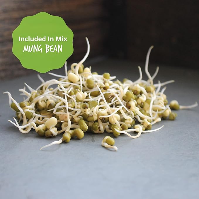 Organic Sprouting Seeds - Handy Pantry Sweet Protein Mix 1 lb. - Fava Bean, Mung Bean, & Yellow Pea