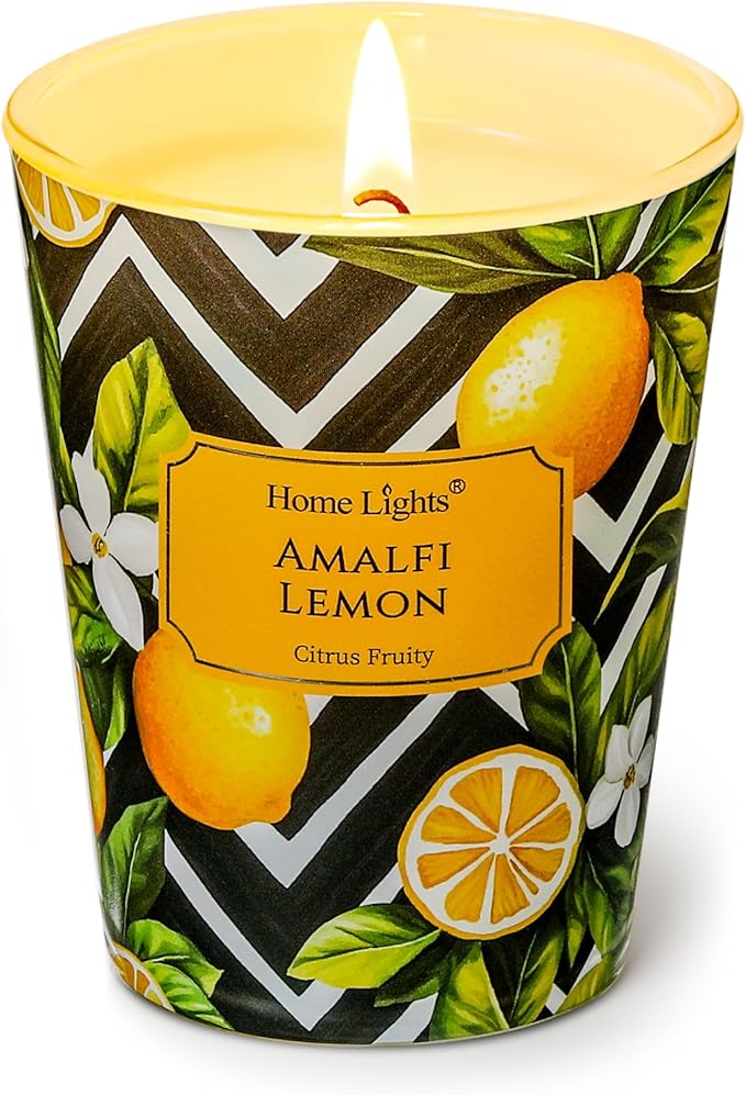 HomeLights Large jar Candle | 1-Wick Long-Lasting Scented Candles, 6.7oz Natural Soy Wax Candle for