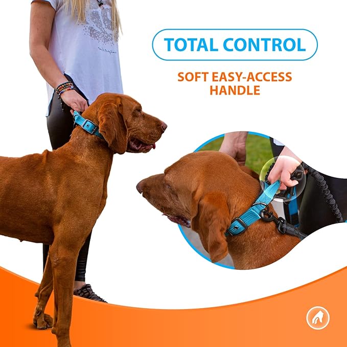 SparklyPets Heavy Duty Dog Collar with Handle for Medium and Large Dogs ??Professional Collar with