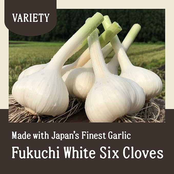 Aomori Farm Black Garlic 17.63oz (500g) Japanese Fermented Superfood, Whole Bulbs