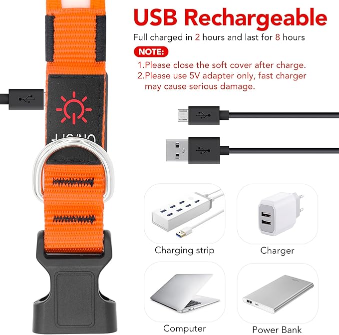 Vizpet LED Dog Collar, Light Up Dog Collar Adjustable USB Rechargeable Super Bright Safety Light