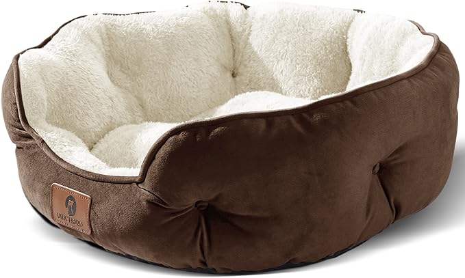 Asvin Medium Dog Bed for Medium Dogs, Cat Beds for Indoor Cats, Pet Bed for Puppy and Kitty, Extra