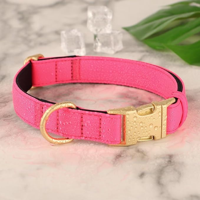 Didog Soft Padded Dog Collars for Medium Dogs, Colorful and Durable Dog Collar with Quick Release