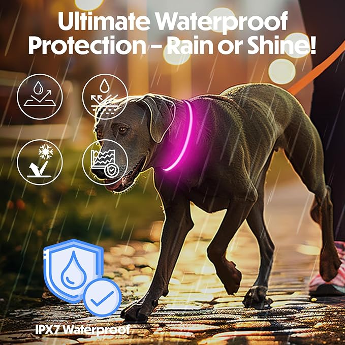 Light Up Dog Collar ??Reflective, Adjustable & Rechargeable Electronic Glow Pet Collars ??Bright