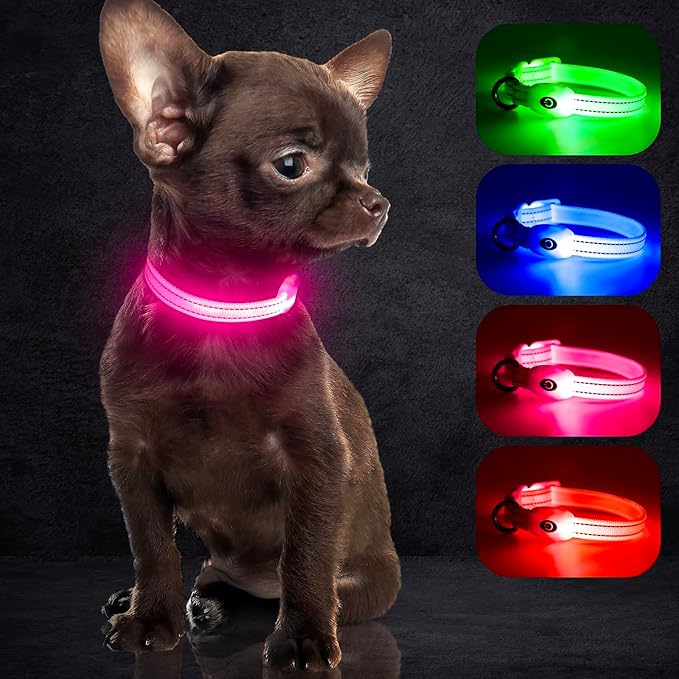 YFbrite Light up Dog Collars for Night Walking, Rechargeable LED Cat Collar, Comfortable Adjustable