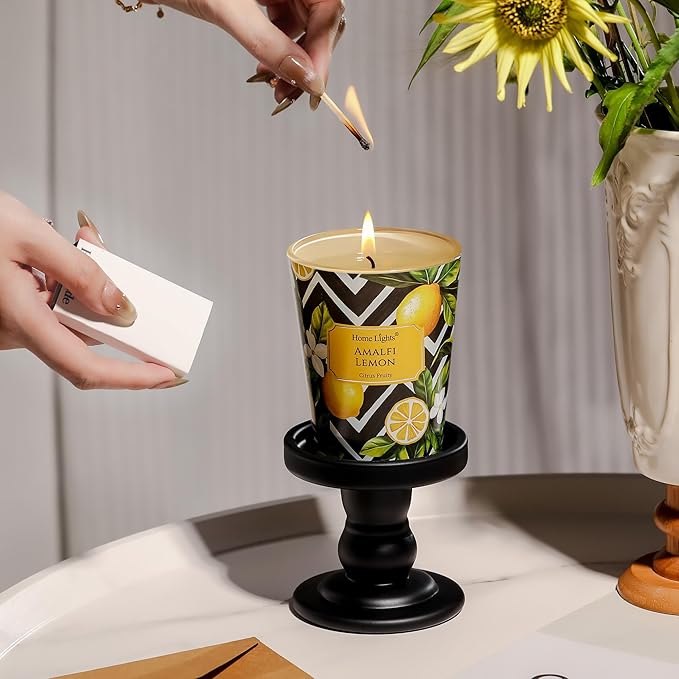 HomeLights Large jar Candle | 1-Wick Long-Lasting Scented Candles, 6.7oz Natural Soy Wax Candle for