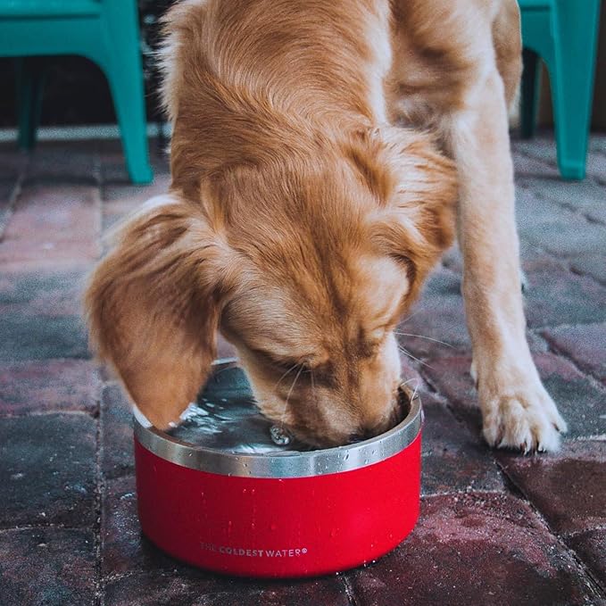 Coldest Dog Bowl - Anti Rust Metal, Non Slip, 3 Layers Insulated Stainless Steel Dog Bowls - Spill