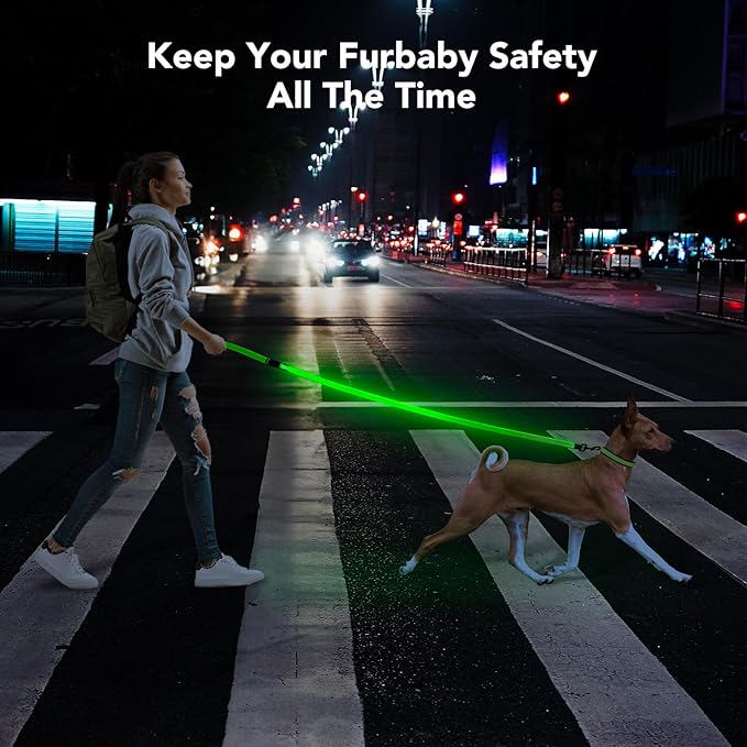 Colaseeme Light Up Dog Leash, LED Pet Leashes USB Rechargeable, Glow Safety Dogs Lights at Night