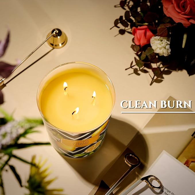 HomeLights Large jar Candle | 3-Wick Long-Lasting Scented Candles, 34oz Natural Soy Wax Candle for