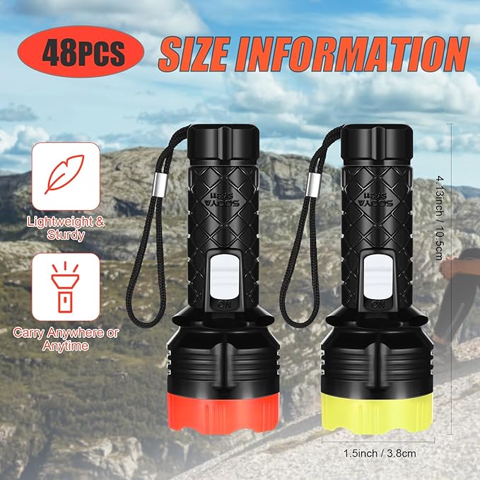 48 Pcs Mini Flashlight Bulk Flashlight with Lanyard Assorted Colors Torch Flashlights LED Keychain