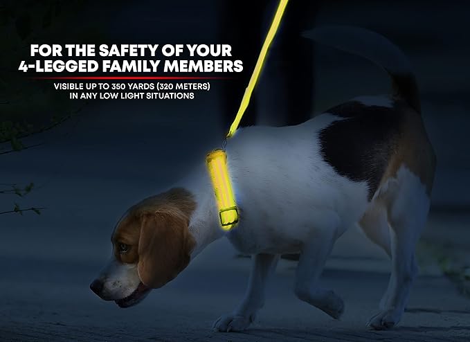 ILLUMISEEN LED Dog Collar USB Rechargeable - Bright & High Visibility Lighted Glow Collar for Pet