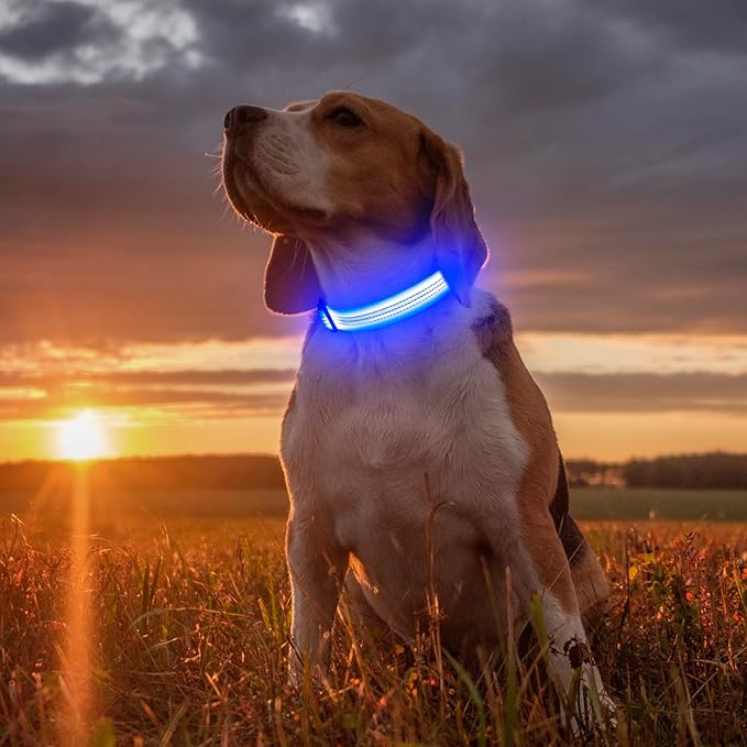 Illumifun Light Up Dog Collar, USB Rechargeable LED Dog Collar, Adjustable Reflective Lighted Pet