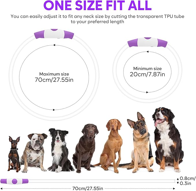 HIGO Light Up Dog Collar, LED Dog Collar for Night Safety with 3 Modes, Type-C Rechargeable &
