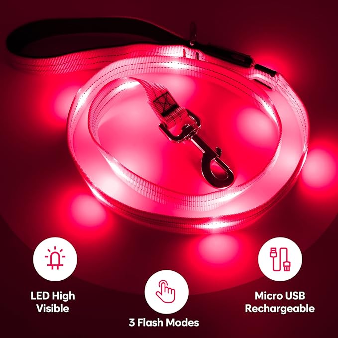 4 Ft Led Dog Leash, Rechargeable Light Up Dog Leash Waterproof, Safety Glow in The Dark Dog Leash