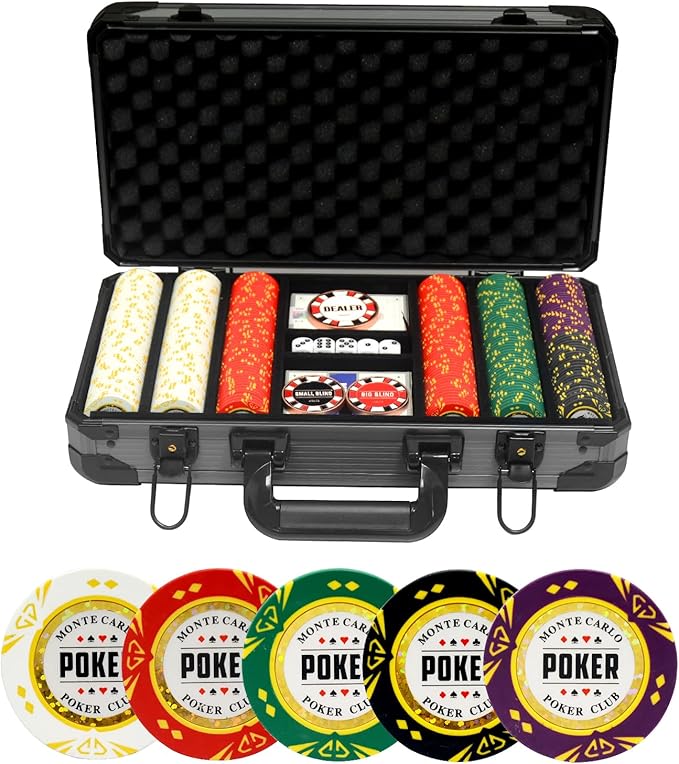 14 Gram Clay Poker Chips Set - Texas Hold'em 300 PCS Blank Chips with High-End Case & Poker
