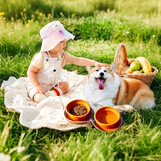 Collapsible Dog Bowls, Portable Dog Bowl, Travel Water Bowl for Dogs Camping Essentials, 2-in-1