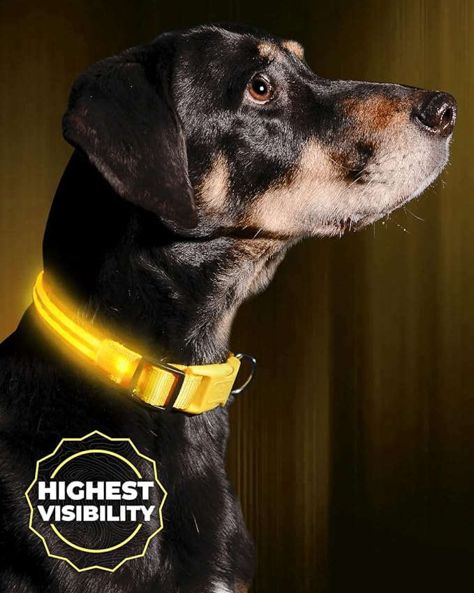 ILLUMISEEN LED Dog Collar USB Rechargeable - Bright & High Visibility Lighted Glow Collar for Pet
