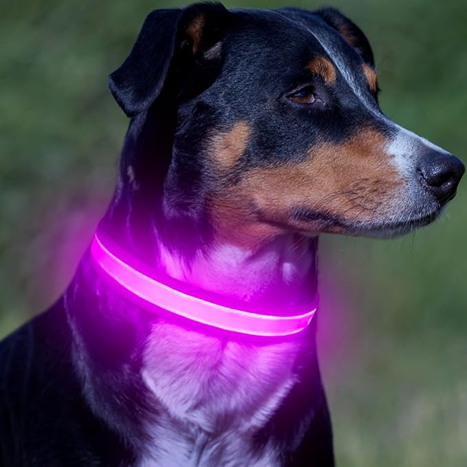 VIZPET LED Dog Collar, Light Up Dog Collar Adjustable USB Rechargeable Super Bright Safety Light