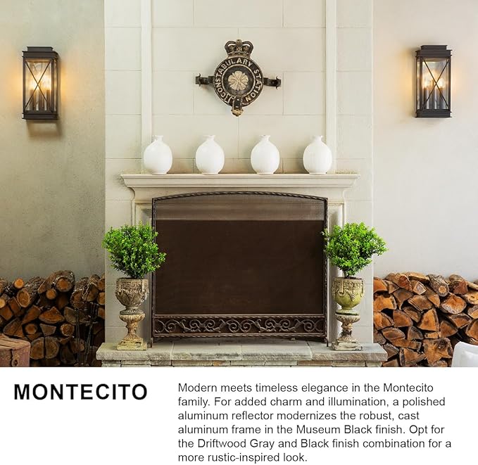 Hinkley Montecito Medium Wall Mount Outdoor Lantern - Modern, 1-Light, Aluminum, Clear Glass