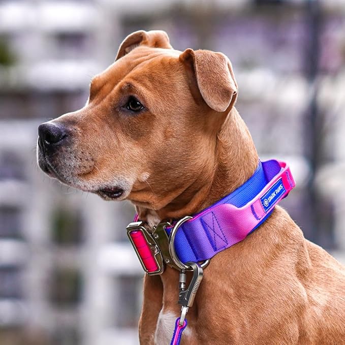 Spark Paws Tactical Dog Collar with Handle - Premium Quality Collar, Robust and Durable Design for