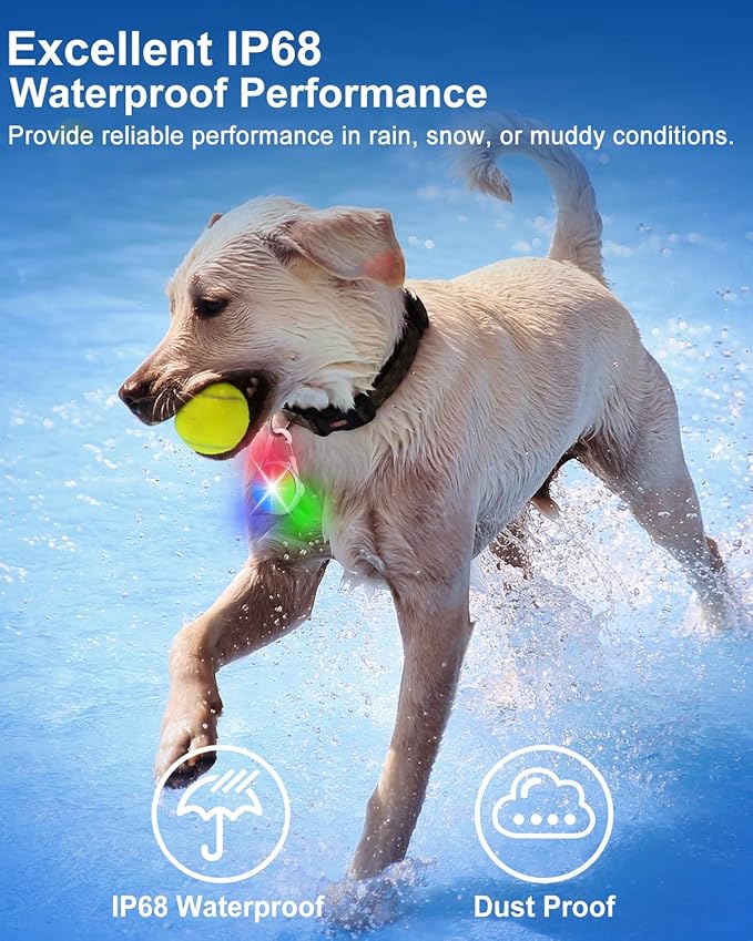 2 Pack Dog Collar Light, Rechargeable Dog Lights for Night Walking Clip On, 4 Modes Waterproof LED