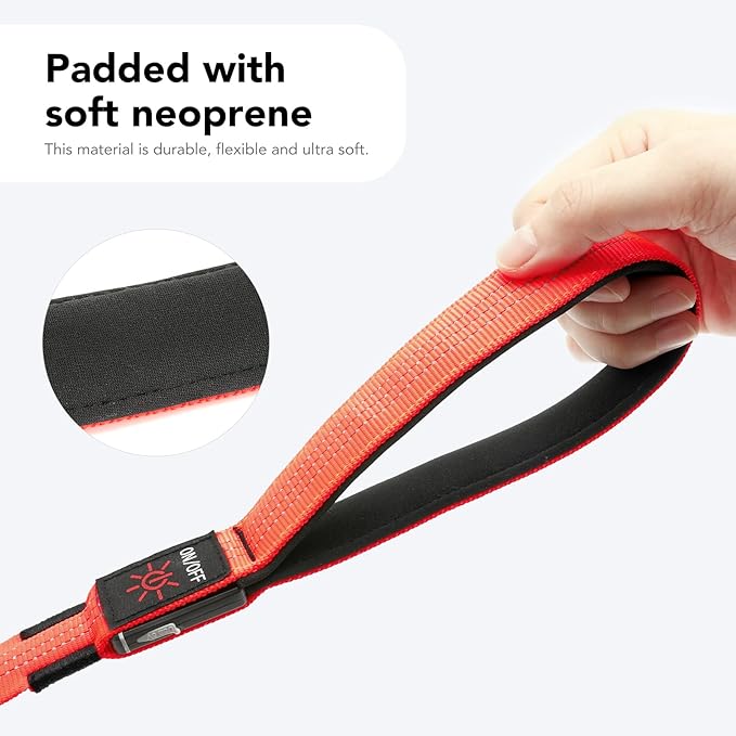 Colaseeme Light Up Dog Leash, LED Pet Leashes USB Rechargeable, Glow Safety Dogs Lights at Night