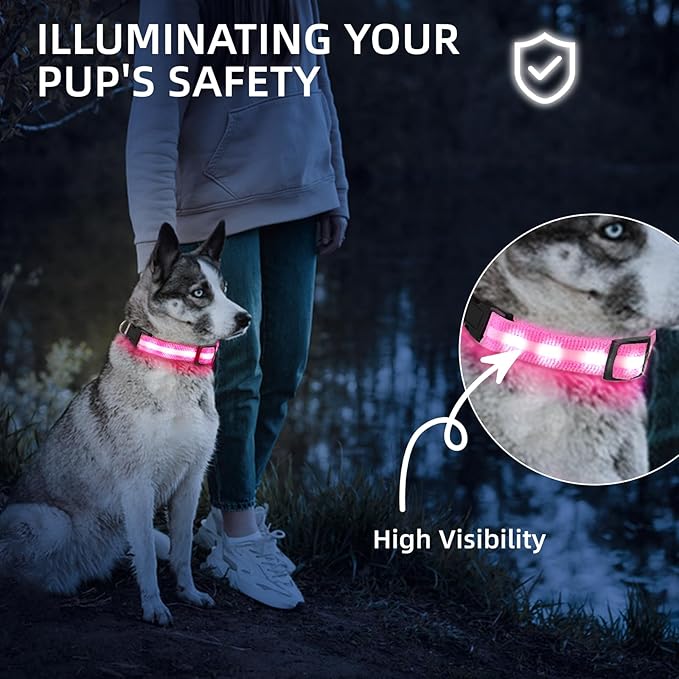 Super Bright LED Dog Collar - Fully Waterproof & Adjustable Glow Collar - USB-C Rechargeable for