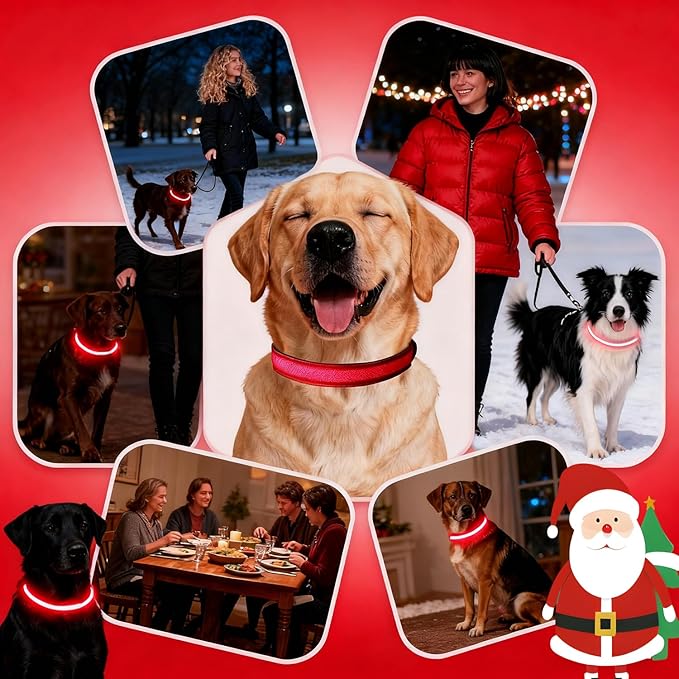 DOGWONG LED Dog Collar - Heavy Duty Light up Collars - Rechargeable Waterproof - Lighted Dog Collar
