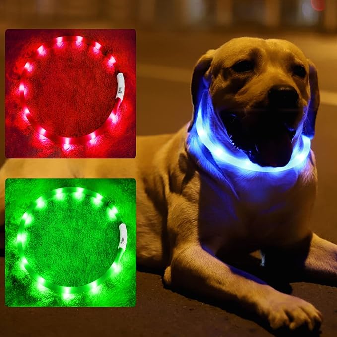 Light Up Dog Collar, Rechargeable Glowing Dog Collar, Light Dog Collar for Night Walking with 1640