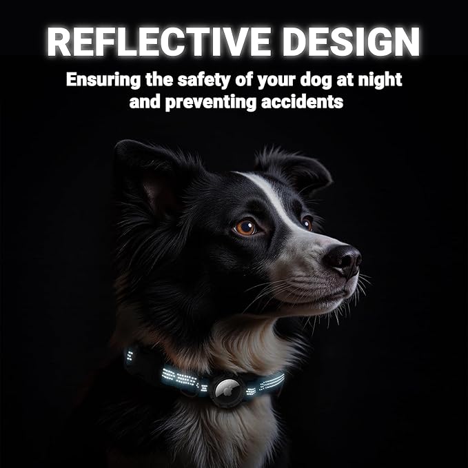 AirTag Dog Collar and Leash, IP68 Waterproof Integrated with Reflective, Ultra-Durable, Comfortable