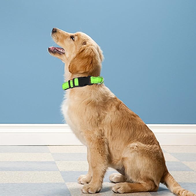 Reflective Dog Collar, Adjustable Soft Neoprene Padded Nylon Pet Collars with Buckle for Medium