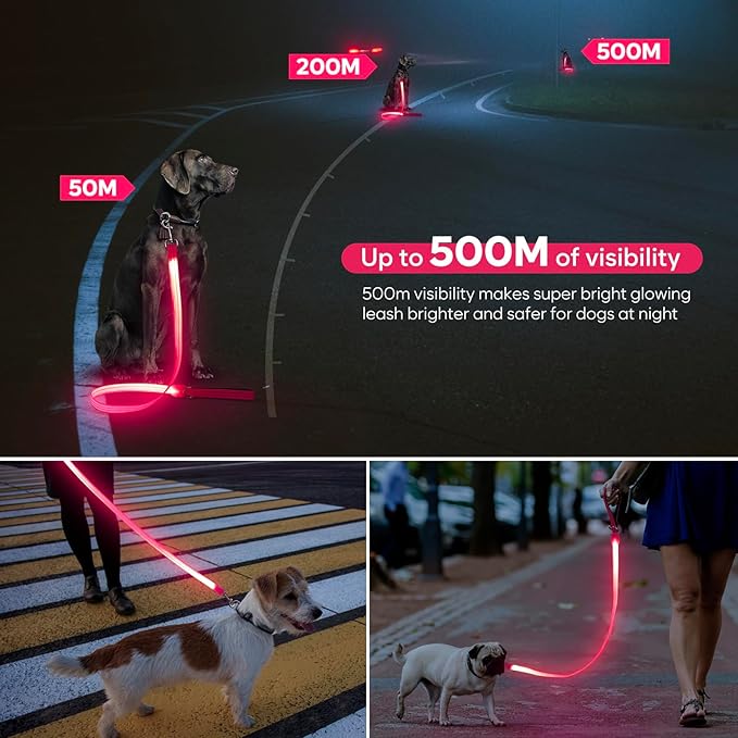 LED Dog Leash, Light Up Dog Leash 4 Ft USB Rechargeable Waterproof, Nylon Reflective Leashes with