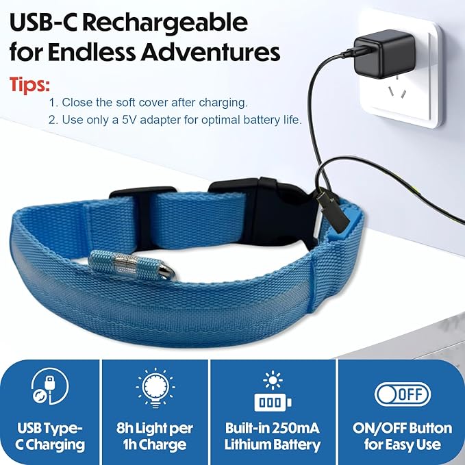 Light Up Dog Collar ??Reflective, Adjustable & Rechargeable Electronic Glow Pet Collars ??Bright
